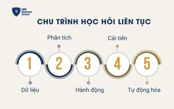 Chu trình học hỏi liên tục hình thành từ văn hóa AI First